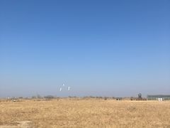 -盐城丹顶鹤湿地生态旅游区