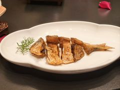 -老吉堂上海本帮菜(工体店)