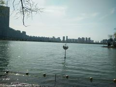 -天鹅湖体育公园