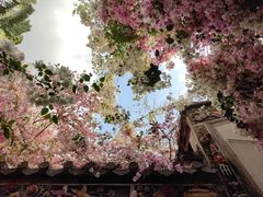 -深圳国际园林花卉博览园