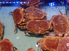 -阿伟海鲜楼·福建菜(延寿店)