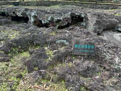 -海口火山口国家地质公园