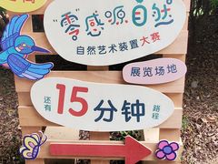 -华侨城湿地公园