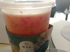 -野萃山·潮汕厚果汁(十亩地店)