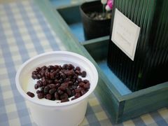红豆双皮奶-田记宫廷奶酪