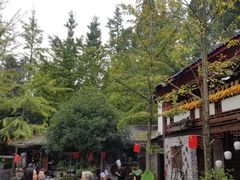 -青城甲(青城山店)