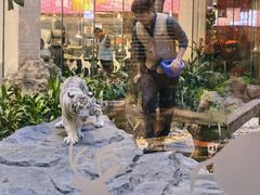 -白虎自助餐厅·真老虎·景观自助餐厅(广州长隆酒店)
