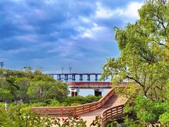 -宝安西湾红树林湿地公园