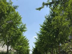 -星光影视园