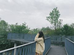-都江堰中华大熊猫苑