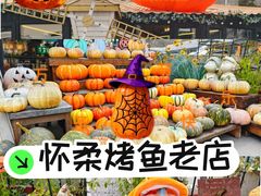-京北渔家傲