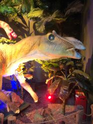 -恐龙探索乐园(磁器口店)