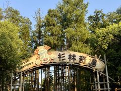 -武汉玛雅海滩水公园