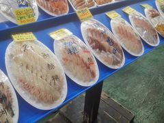 -西归浦每天偶来市场