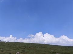 -芦芽山旅游度假区