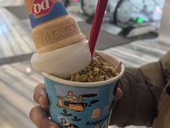 迪拜巧克力口味开心果暴风雪-DQ·蛋糕·冰淇淋(南开大悦城2F店)