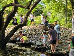 -成都市活水公园