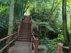-赤水丹霞旅游区·佛光岩