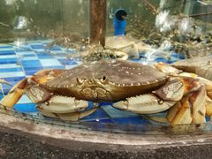 -新塘畔酒楼(里水大道北店)