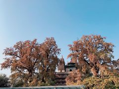 -北京石刻艺术博物馆