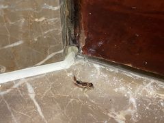 -启东恒大海上威尼斯酒店