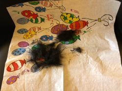 -禧婴婴儿理胎发·胎毛笔定制纪念品(新街口店)