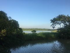 -大湾区中央湿地公园