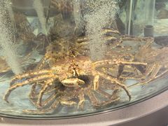 -海底捞大排档火锅(打浦路店)