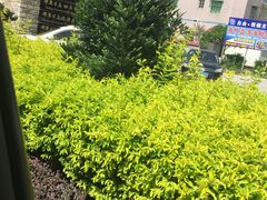 门面-那琴半岛地质海洋公园