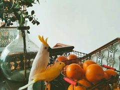 -RGF(巨鹿路店)