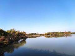 -昆山城市生态森林公园