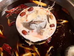-好吃鬼高原牦牛杂火锅(古尔沟分店)