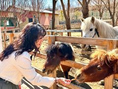 -水上乐园·欢乐世界