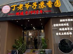 -丁老爷子苏香圆