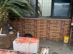 -老四川平头酸菜鱼(衙前店)