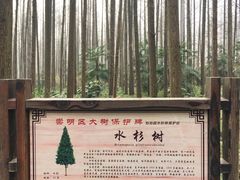 -上海怡沁园度假酒店
