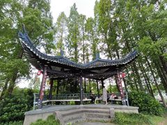 -江心屿景区