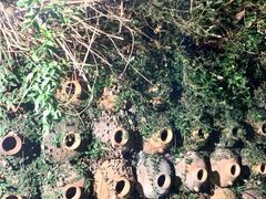 -天芳悦潭度假村温泉