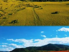 -塞罕坝国家级自然保护区