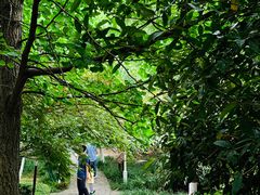 -白马涧龙池景区