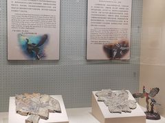 -辽宁古生物博物馆