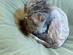 -平行世界·猫咖(首经贸店)