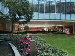 -香港大学