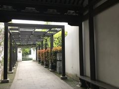 -苏州东山雕花楼宾馆