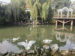 -天毓山庄·餐厅