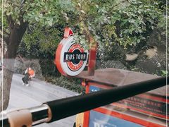 -BUS TOUR观光巴士