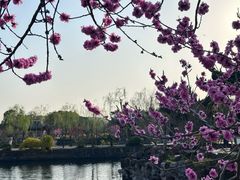 -无锡蠡湖国家湿地公园-蠡园