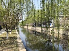 -元大都城垣遗址公园