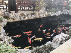 -金海华·华宴江南(斜塘店)