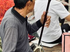 -成都市活水公园